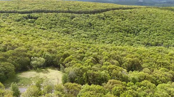 Arciel Drive, Albrightsville, PA 18210