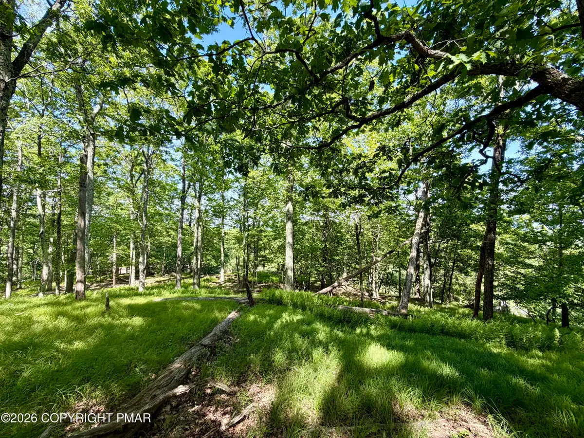 Hillary Drive W, White Haven, PA 18661 - #1