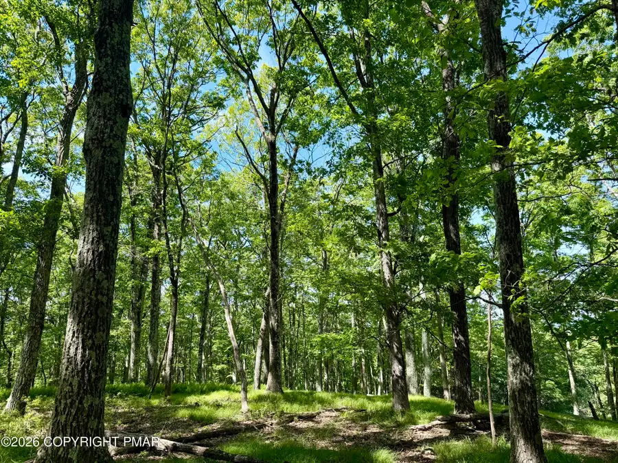 Hillary Drive W, White Haven, PA 18661 - #2