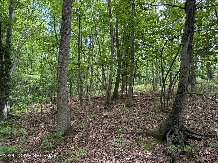 199 Upper Lakeview Dr Drive, East Stroudsburg, PA 18302 - #3