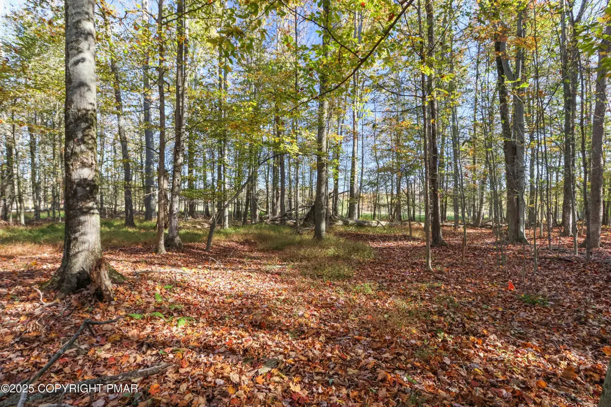 Cygnus Road, Lake Ariel, PA 18436 - #1