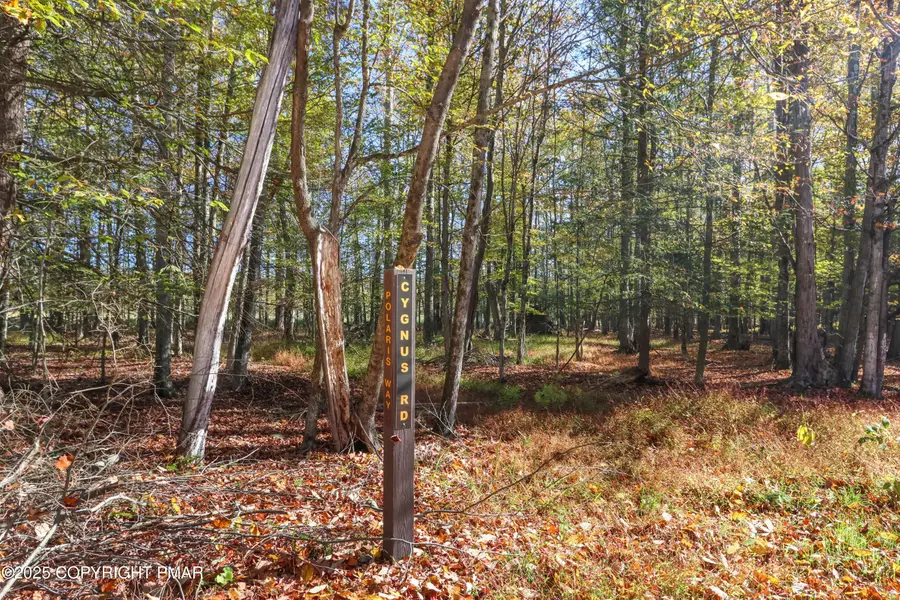 Cygnus Road, Lake Ariel, PA 18436 - #2