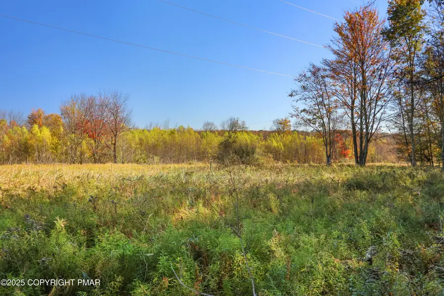 Cygnus Road, Lake Ariel, PA 18436 - #3