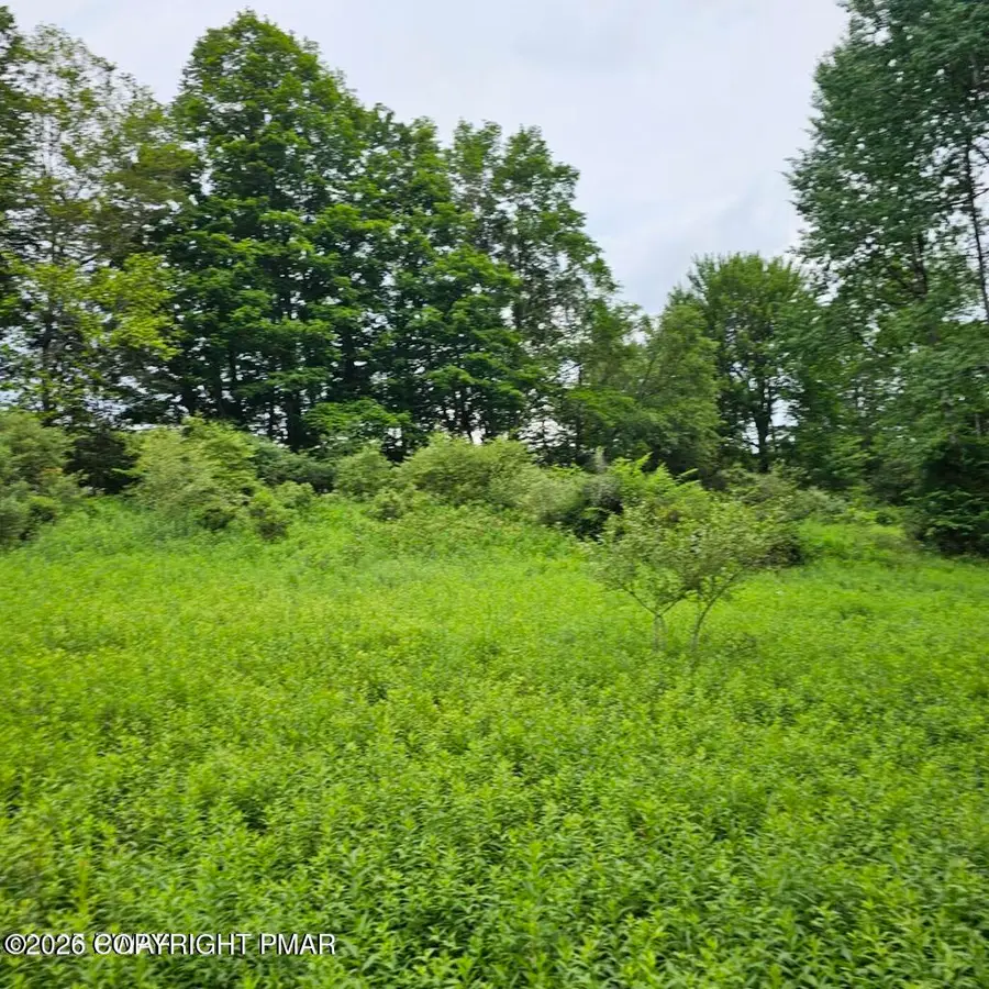 45 Lake Russell Road, Newfoundland, PA 18445 - #2