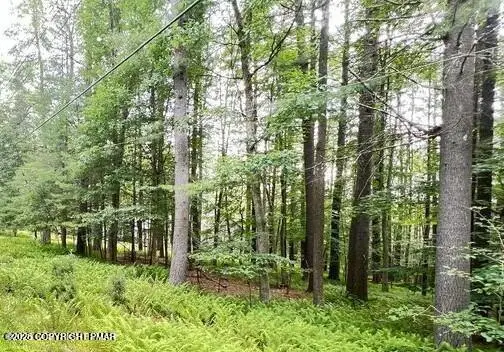 00 Cranberry Drive, Bushkill, PA 18324 - #2