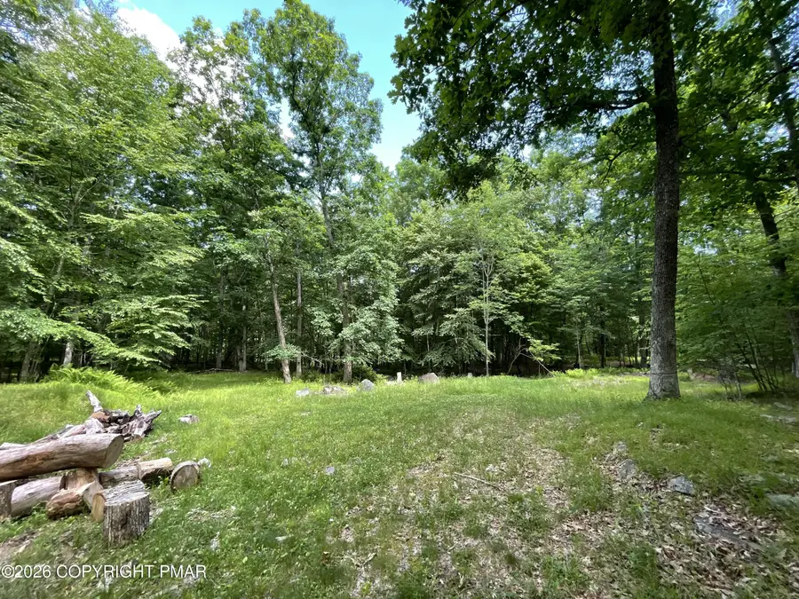 252 Mud Run Road, Cresco, PA 18326 - #2