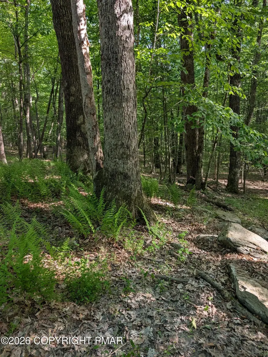Acorn Ln/meadow Ridge Acres Road, Milford, PA 18337 - #2