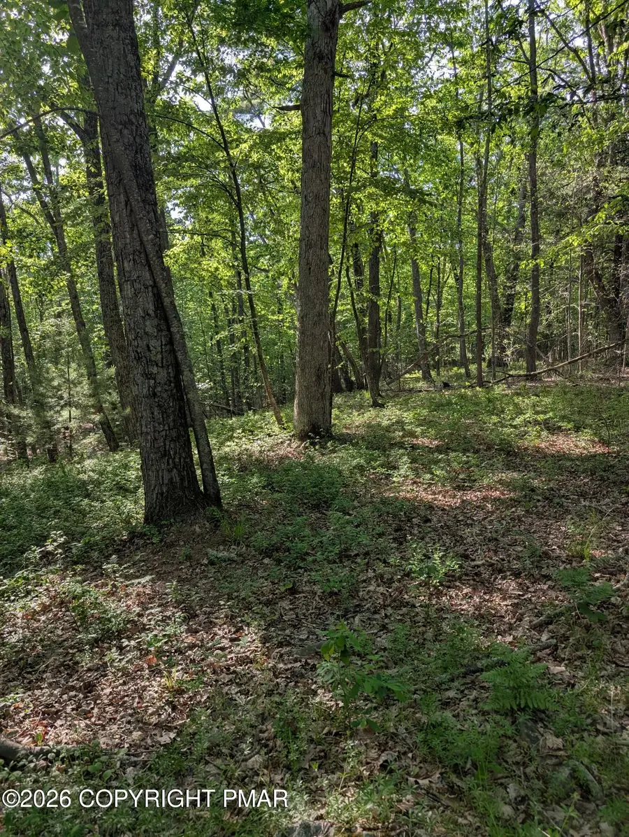 Acorn Ln/meadow Ridge Acres Road, Milford, PA 18337 - #3