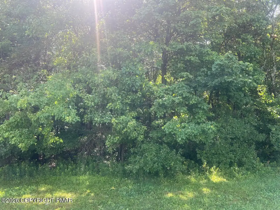 304 Sylvester Drive, Pocono Summit, PA 18346 - #1