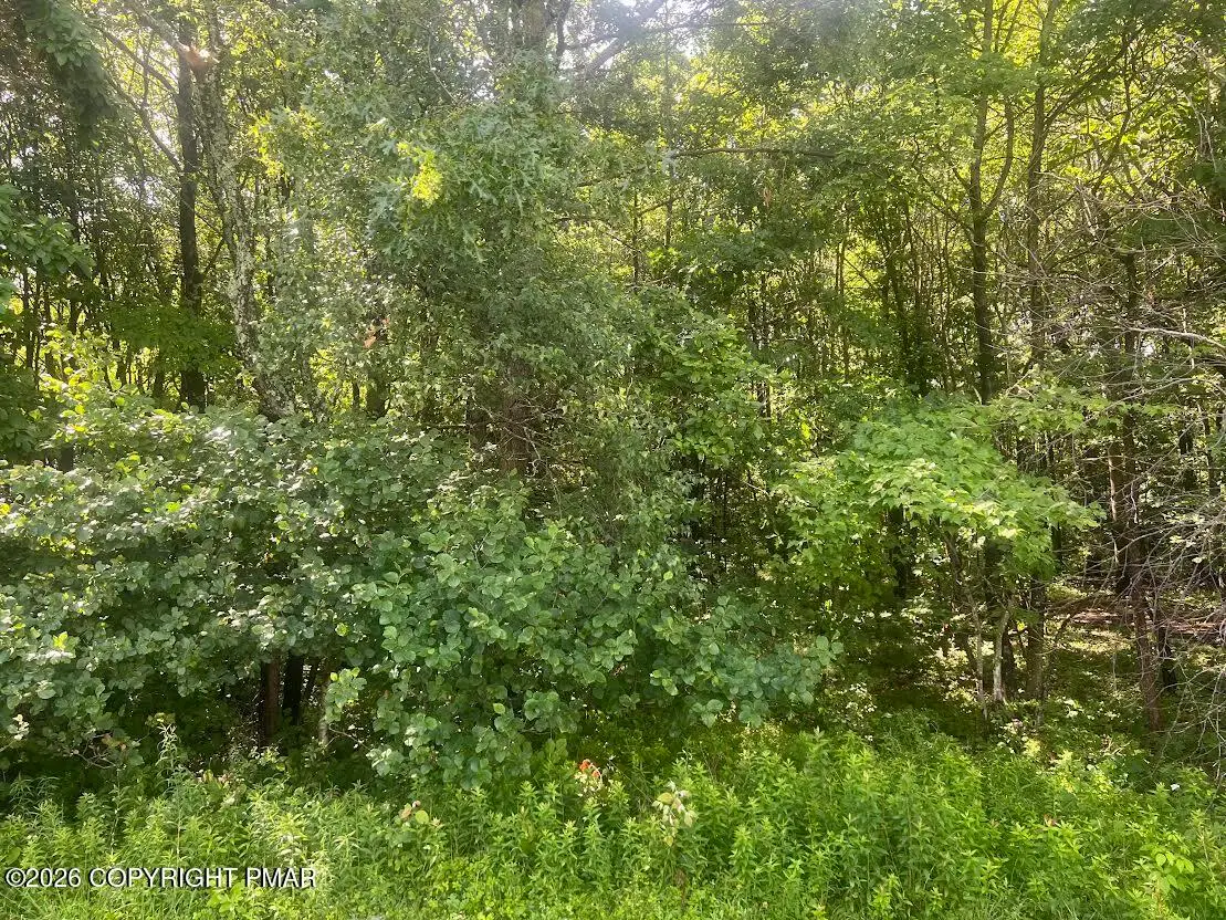 Sylvester Dr 303 Drive, Long Pond, PA 18334 - #1