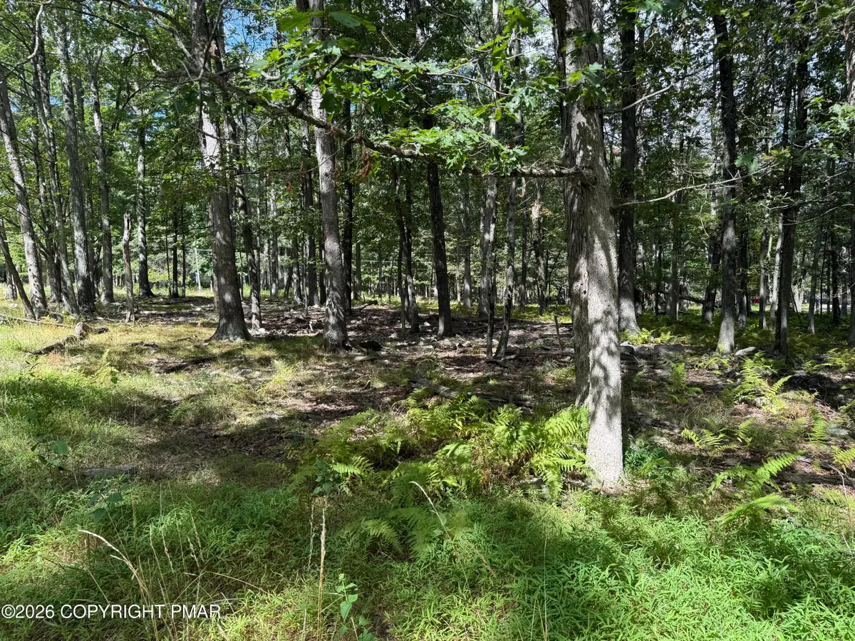 1410 Mohawk Trail, Albrightsville, PA 18210 - #1
