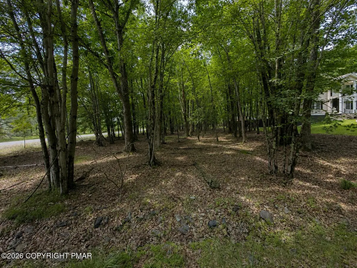 Antler Trail Lot 421, Albrightsville, PA 18210 - #1