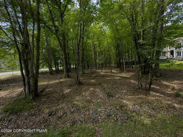 Antler Trail Lot 421, Albrightsville, PA 18210