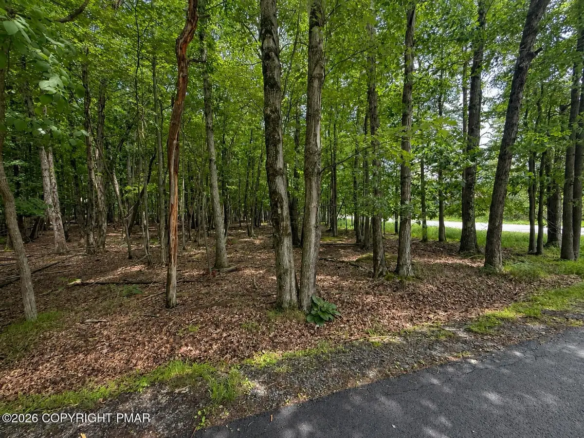 Tower Rd Lot 401, Albrightsville, PA 18210 - #1