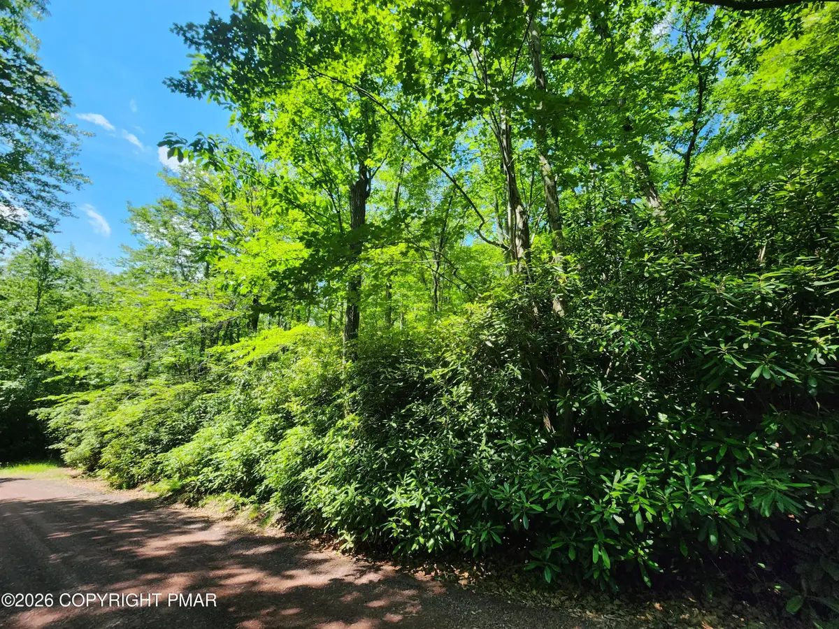 Lot A48 Rhododendron Road, Jim Thorpe, PA 18229 - #1