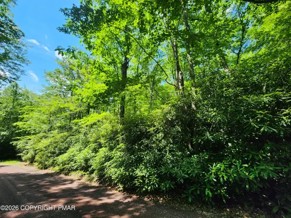 Lot A48 Rhododendron Road, Jim Thorpe, PA 18229