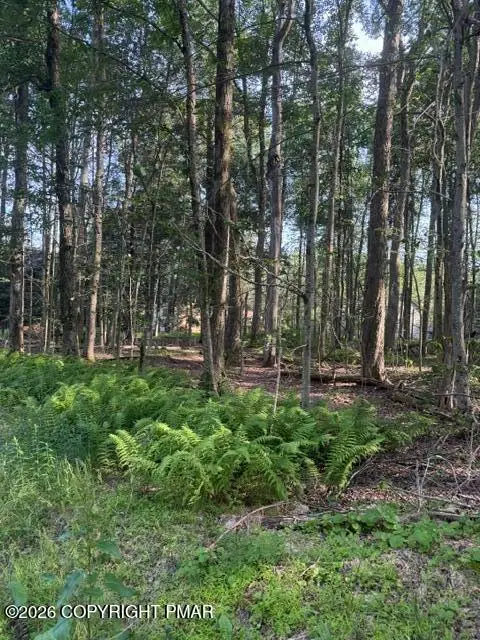 15/16 Sweet Briar Road, Pocono Pines, PA 18350 - #1