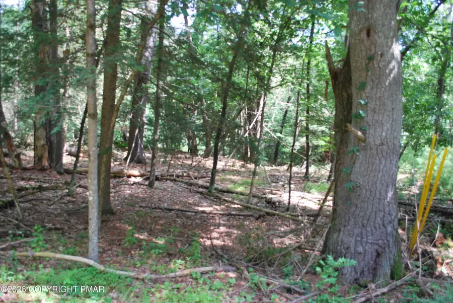 Lot 54 Stony Hollow Circle, East Stroudsburg, PA 18302 - #2