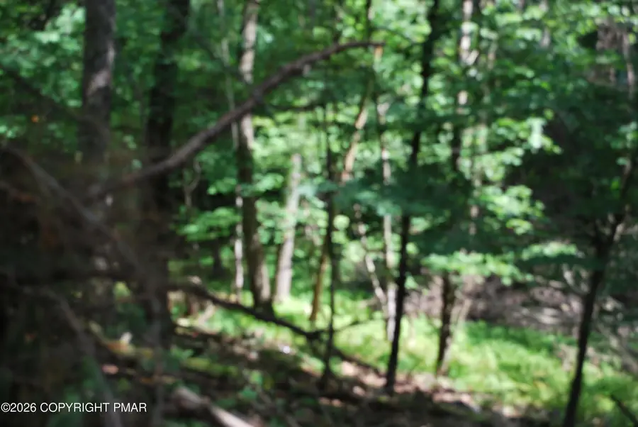 Lot 54 Stony Hollow Circle, East Stroudsburg, PA 18302 - #3