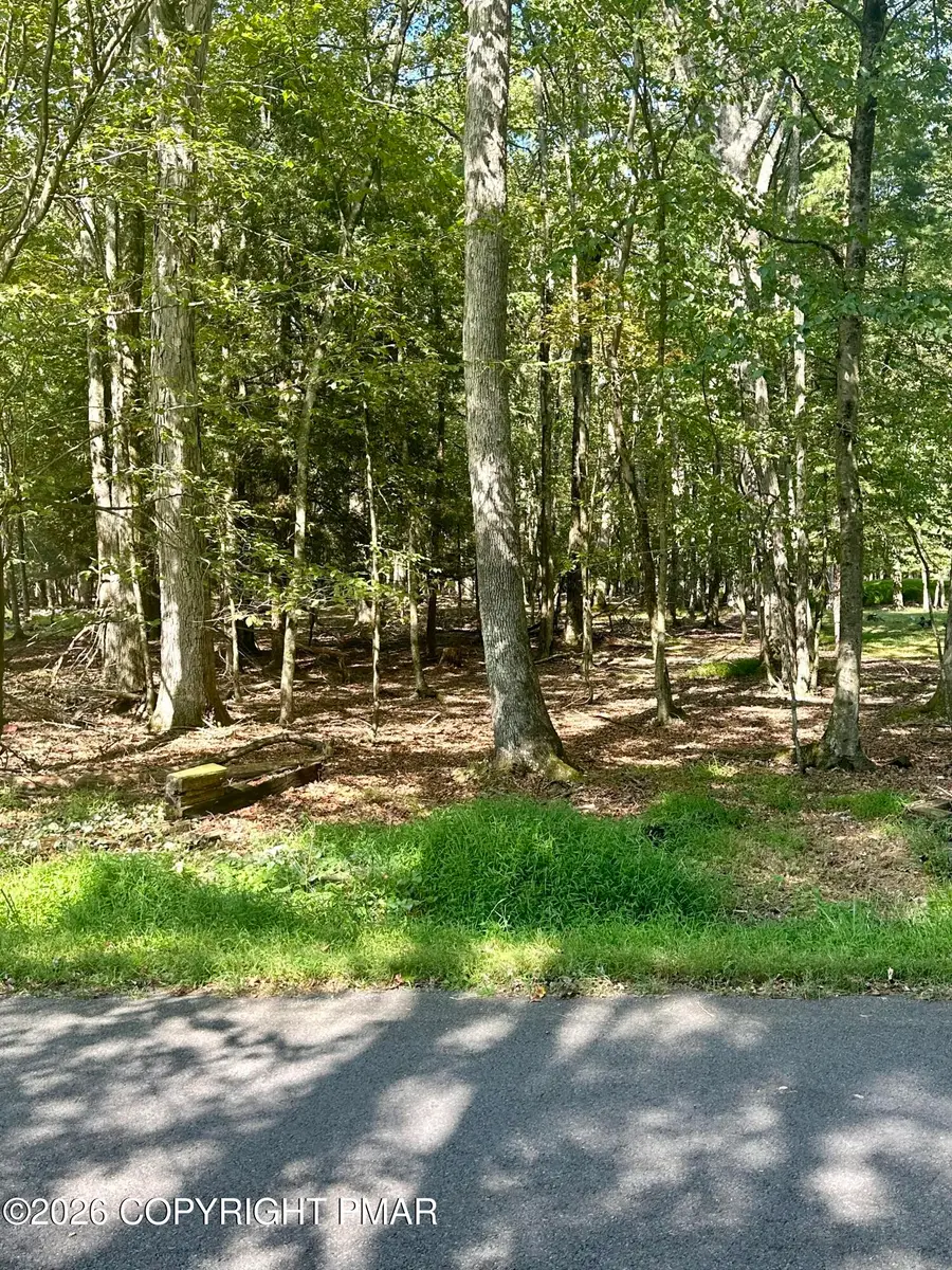 Mansi Drive, Albrightsville, PA 18210 - #3