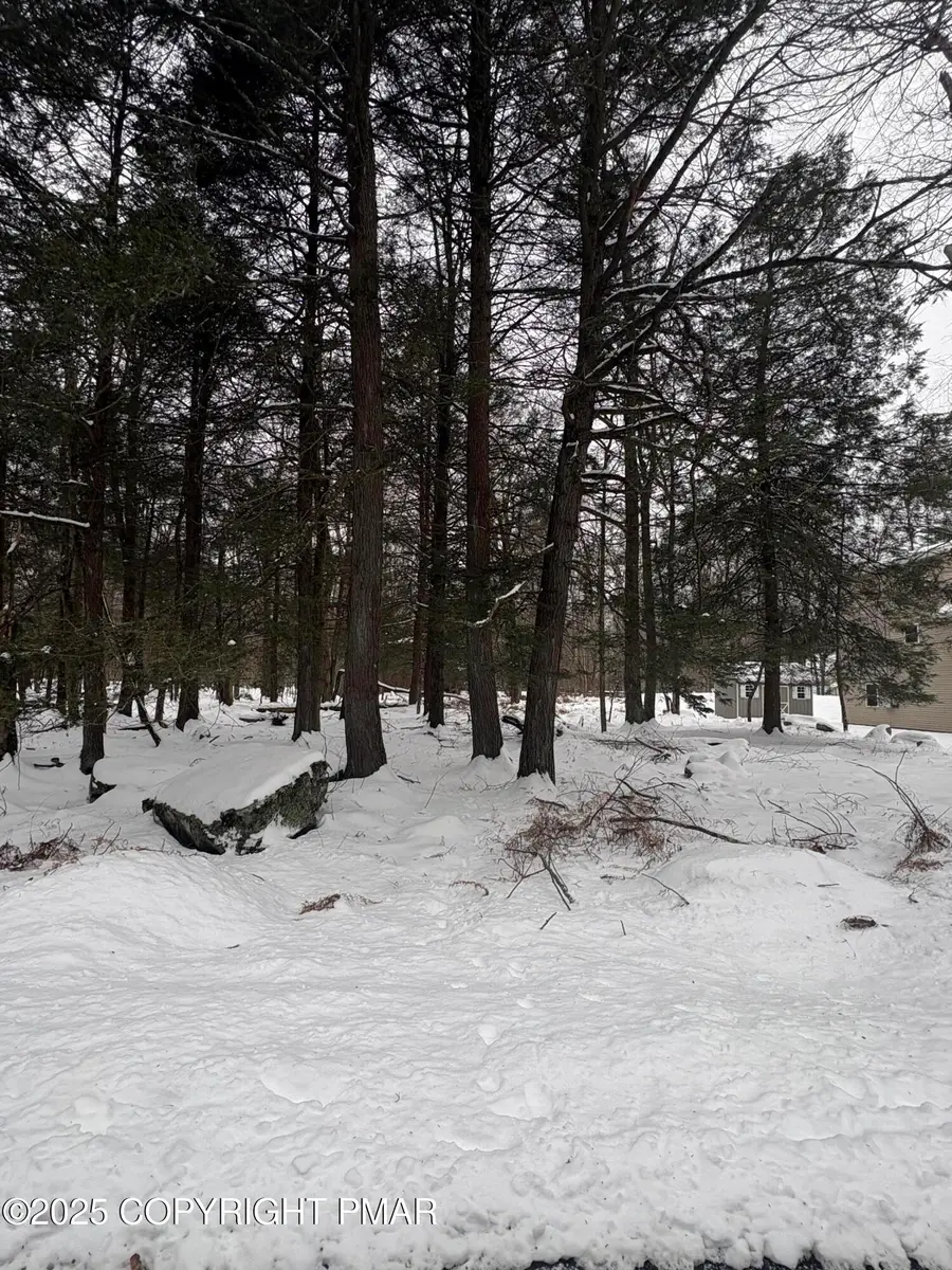 36 Old Silver Mine Trail, Gouldsboro, PA 18424 - #2