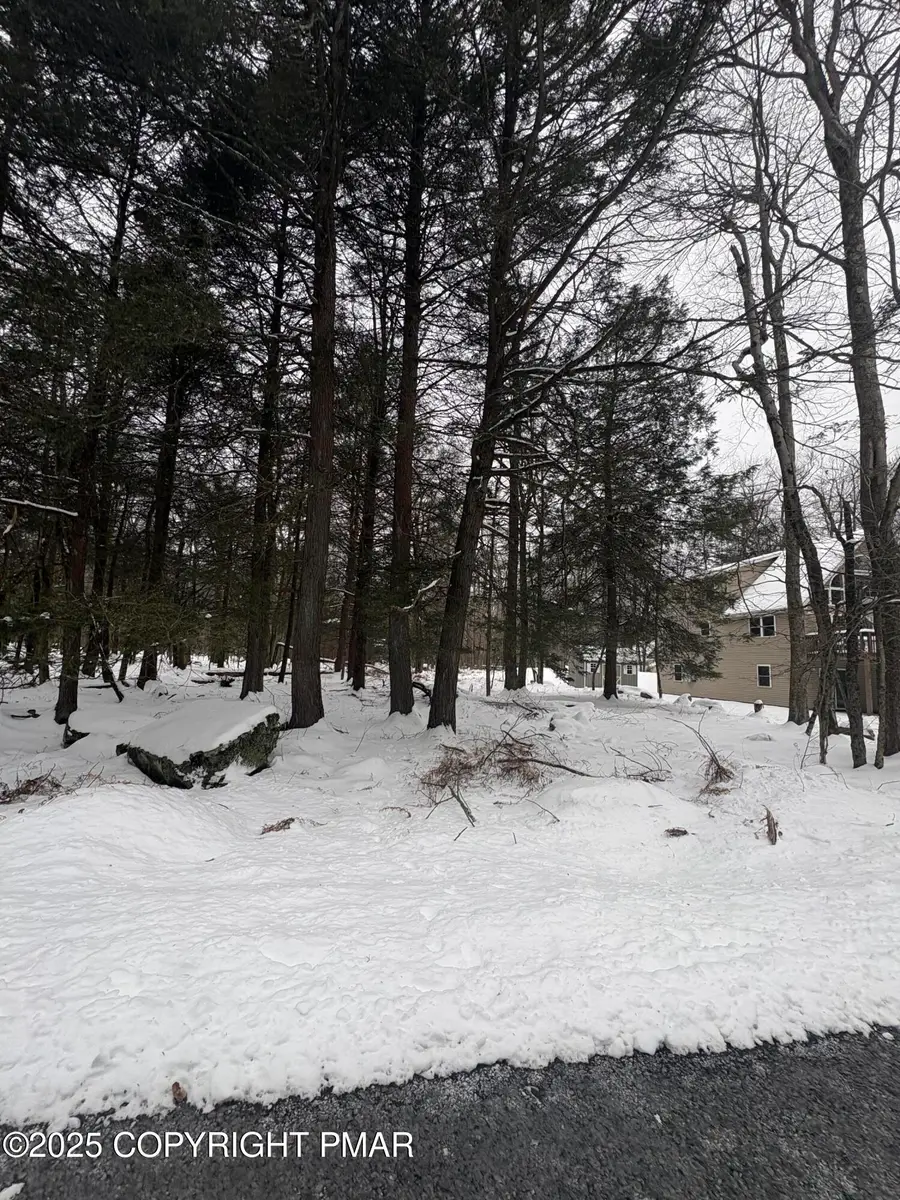 36 Old Silver Mine Trail, Gouldsboro, PA 18424 - #3