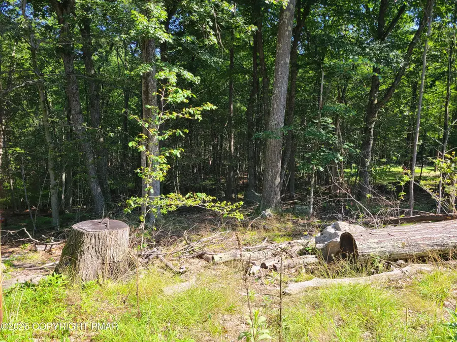 Lot 87 Sunfish Court, Canadensis, PA 18325 - #2