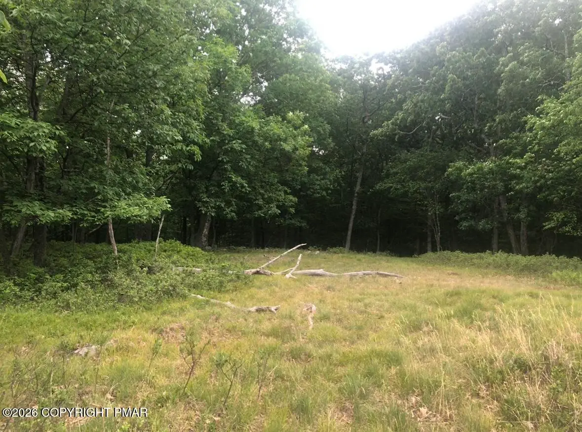69 & 70 Panda Lane, East Stroudsburg, PA 18302 - #1