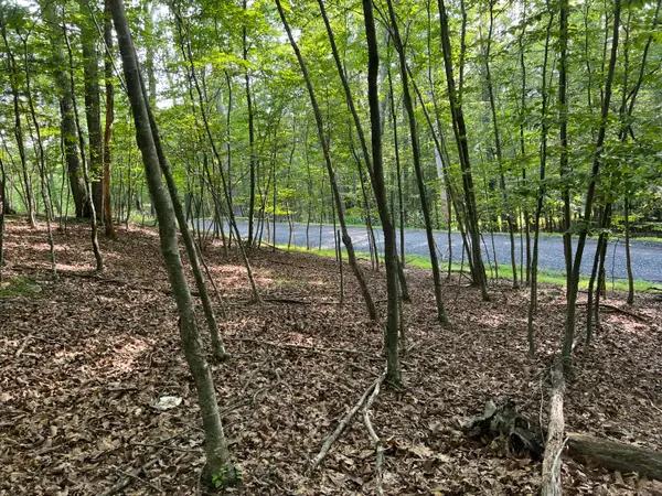 Yukon Drive, East Stroudsburg, PA 18302