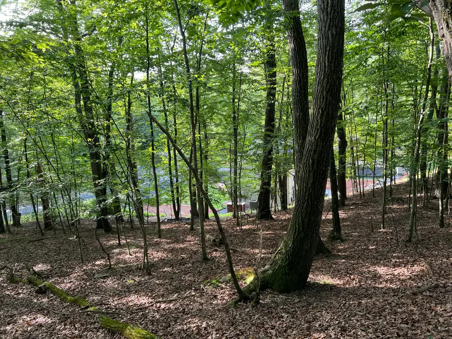 Yukon Drive, East Stroudsburg, PA 18302 - #3