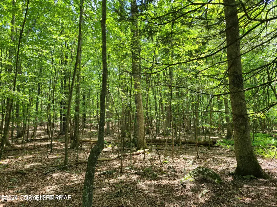 Metzgar Rd Road, East Stroudsburg, PA 18301 - #2