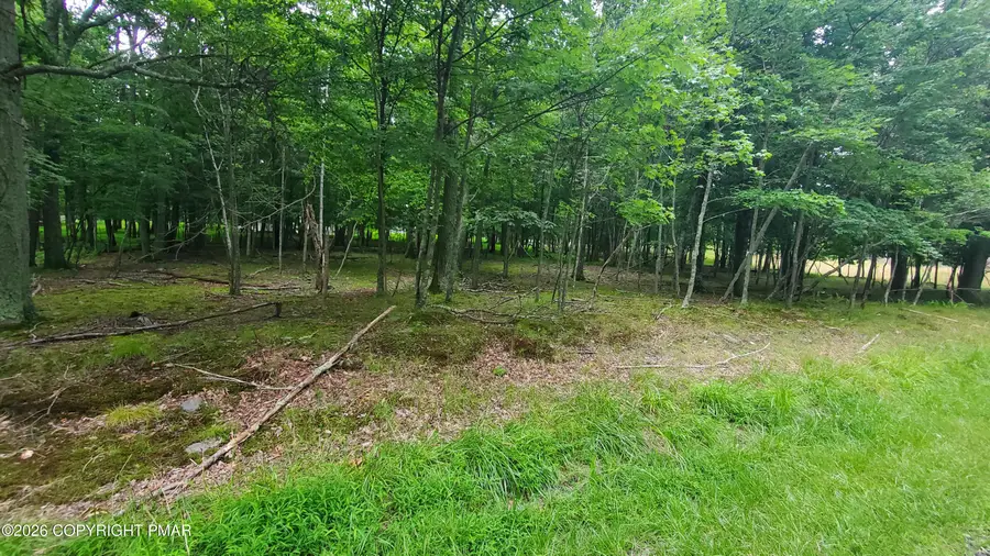 Lot 95 Pine Ridge Dr W, Bushkill, PA 18324 - #3