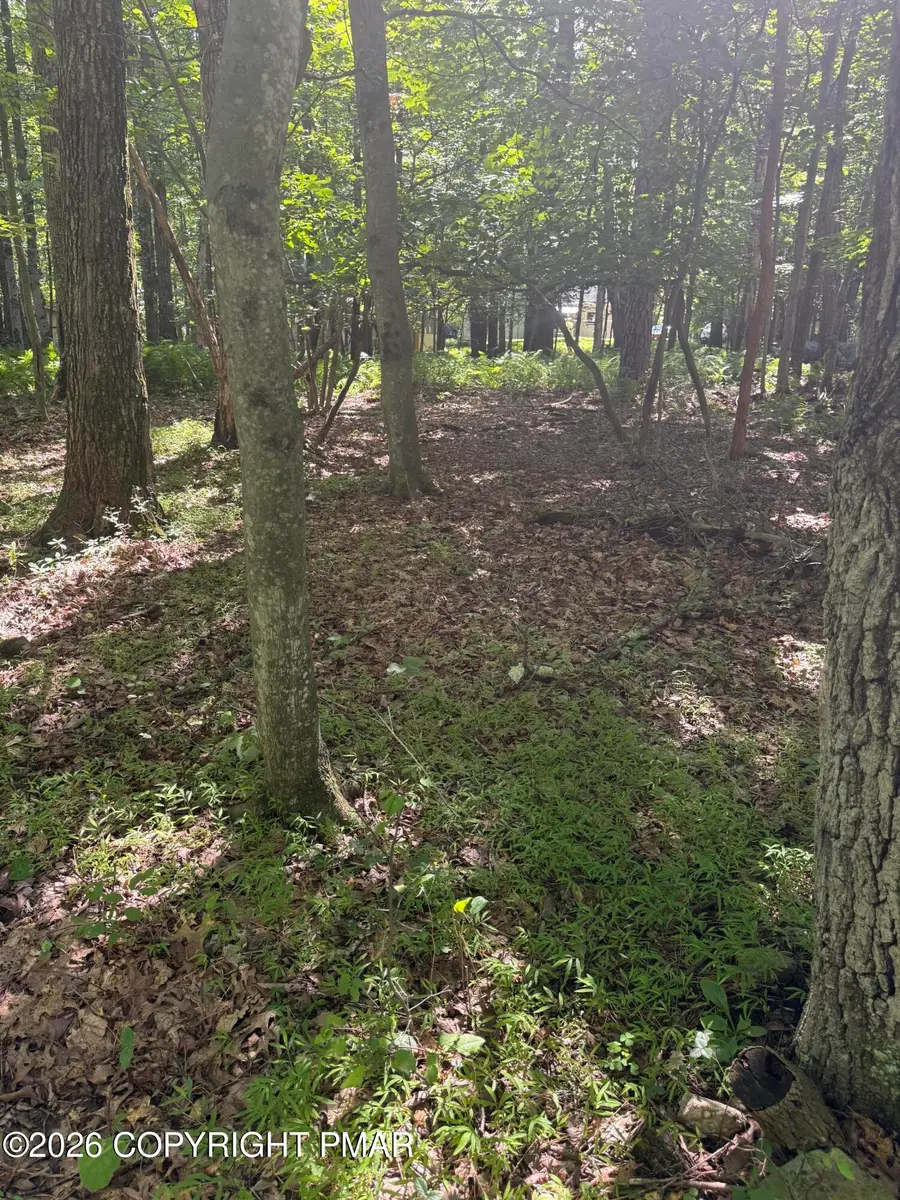 Valley Rd 744 Road, Effort, PA 18330 - #3