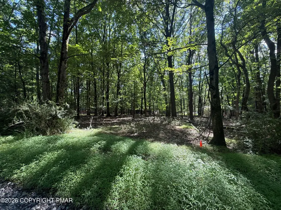 Johns Rd 549 Road, Effort, PA 18330 - #3