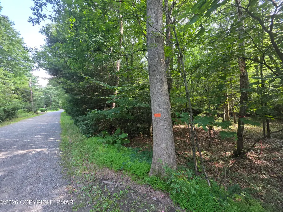 White Pine Road, Jim Thorpe, PA 18229 - #2