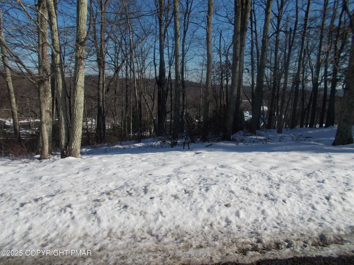 78 High Mountain Lane, Tannersville, PA 18372 - #1