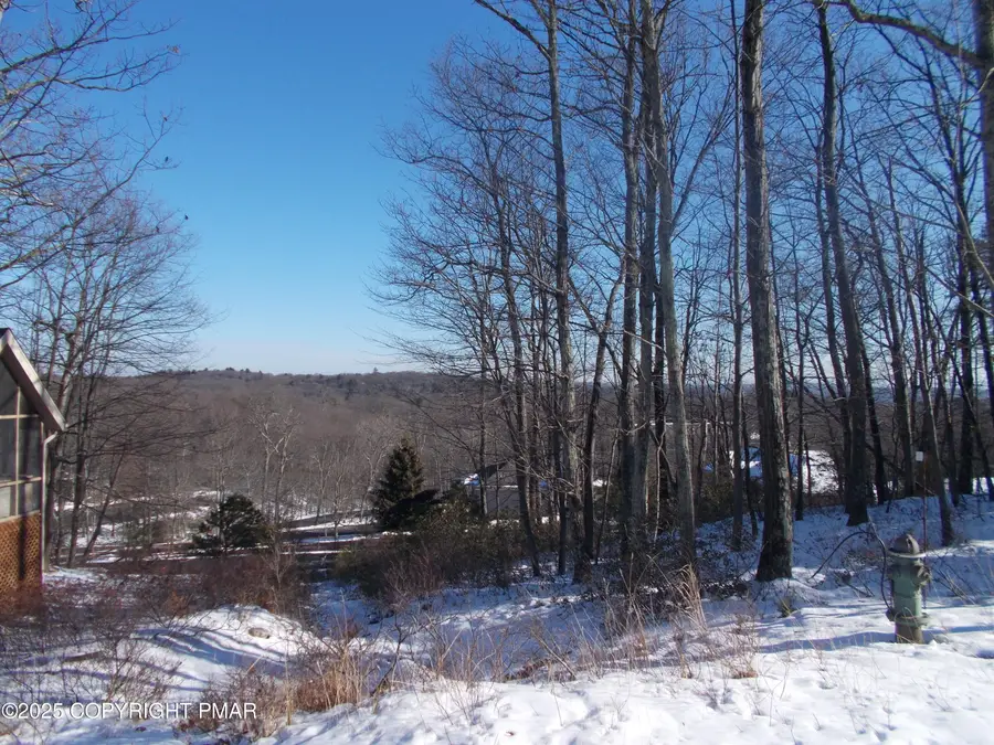 78 High Mountain Lane, Tannersville, PA 18372 - #3