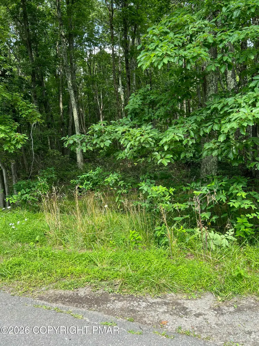 Brookeville Ter 121 Terrace, Mount Pocono, PA 18344 - #3