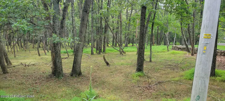 Chippewa 718 Trail, Albrightsville, PA 18210 - #2