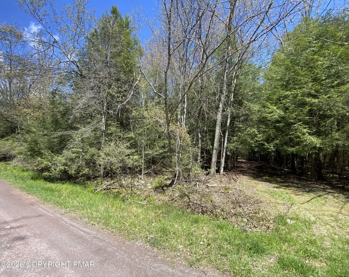 Waverly St 24, Pocono Summit, PA 18346 - #1