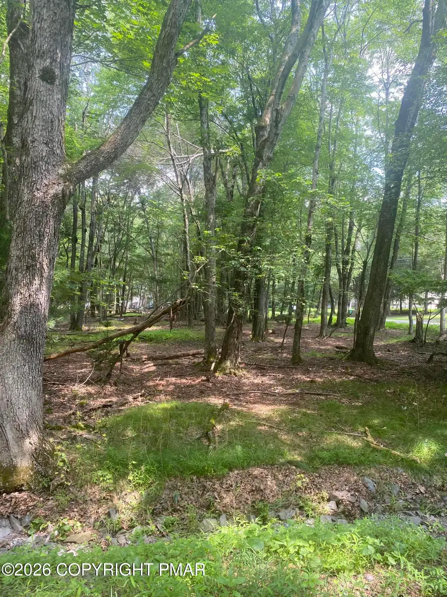 391 / Scenic Drive, Albrightsville, PA 18210 - #3