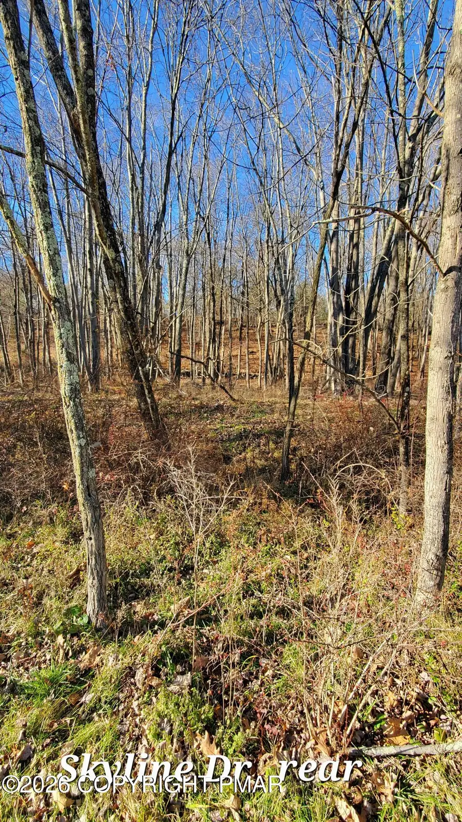 140A Skyline Drive, Bushkill, PA 18324 - #2