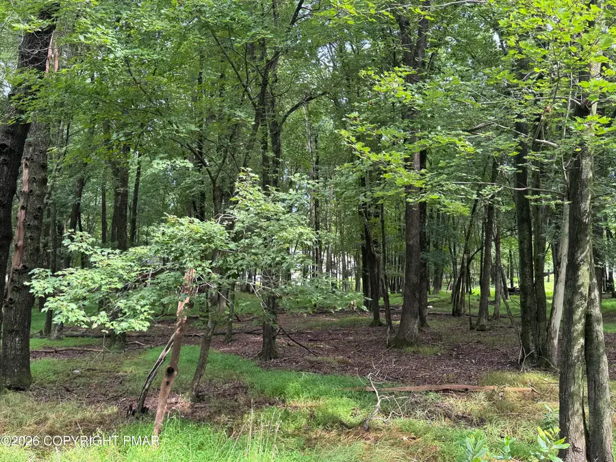 Highridge Road, Albrightsville, PA 18210 - #2