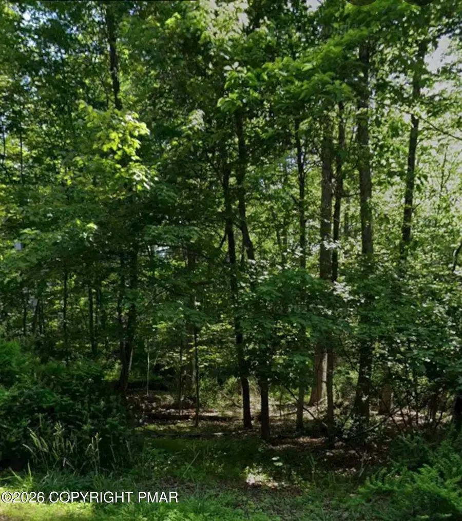 Lot 132 Timber Hill Road, Henryville, PA 18332 - #3
