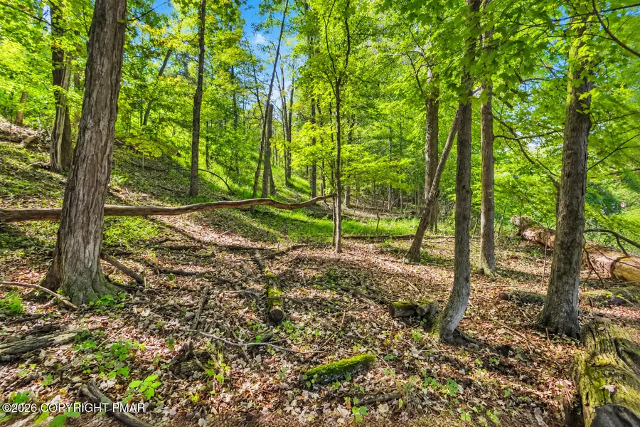 21 Shepard Avenue, Delaware Water Gap, PA 18327 - #2