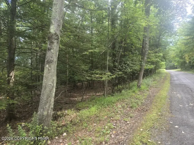 Turkey Ridge Dr 18, Kunkletown, PA 18058 - #1
