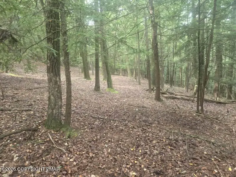 Turkey Ridge Dr 18, Kunkletown, PA 18058 - #3