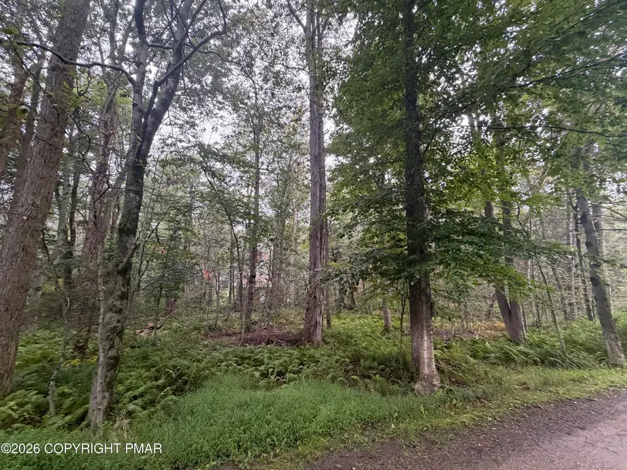 E/114-118 Bent Bow Path, Gouldsboro, PA 18424 - #3