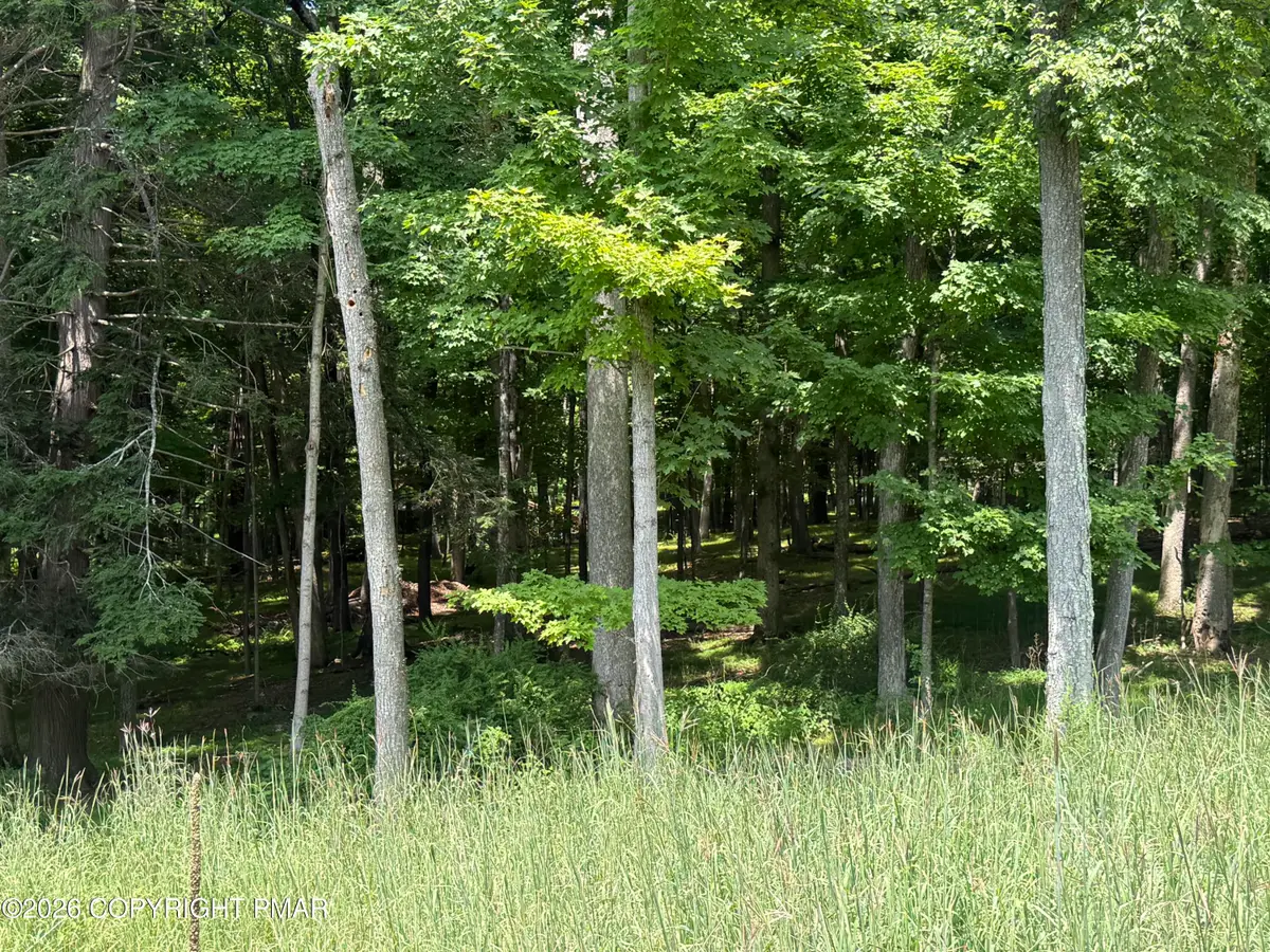 Lot 325 Milford Road, Bushkill, PA 18324 - #1