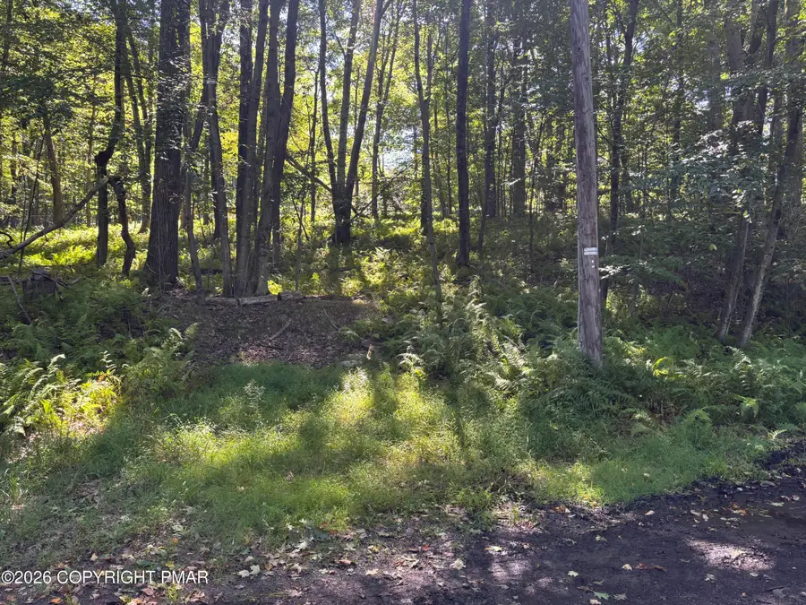 Ski Trail 32, Pocono Lake, PA 18347 - #2